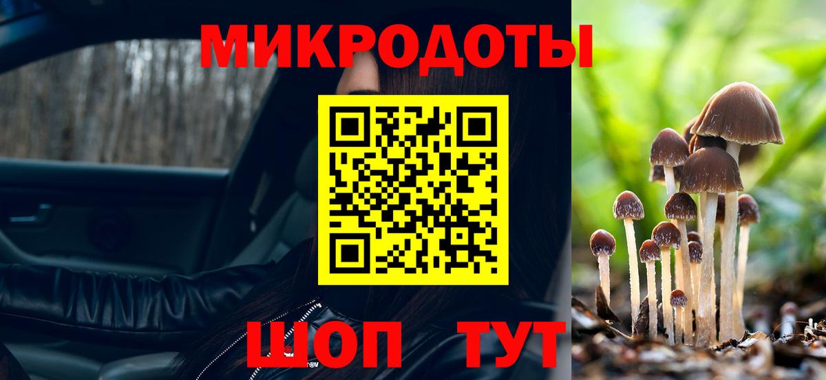 Алатырь  Псилоцибиновые грибы прущие грибы  Вход с VPN 